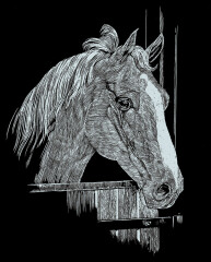 Pferd - Kratzbild Silber ohne Rahmen - Mammut